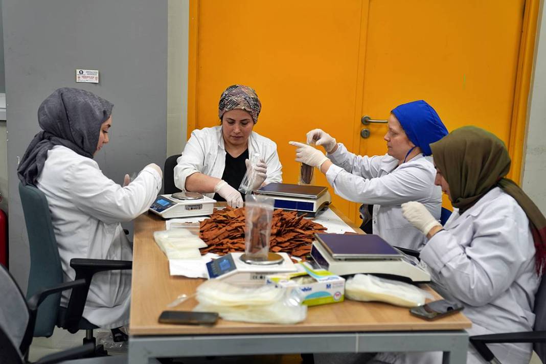 Türk bilim insanı, paça çorbası cipsi üretti! Yurt dışından koli koli sipariş geliyor 2